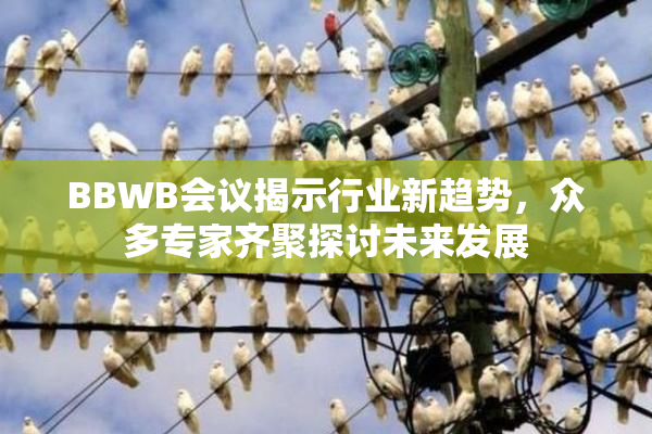 BBWB会议揭示行业新趋势，众多专家齐聚探讨未来发展