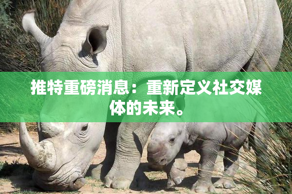 推特重磅消息：重新定义社交媒体的未来。