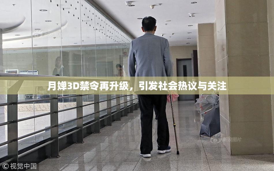 月婵3D禁令再升级，引发社会热议与关注