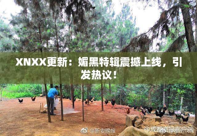 XNXX更新：媚黑特辑震撼上线，引发热议！