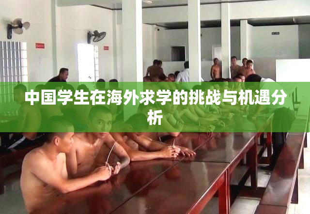 中国学生在海外求学的挑战与机遇分析