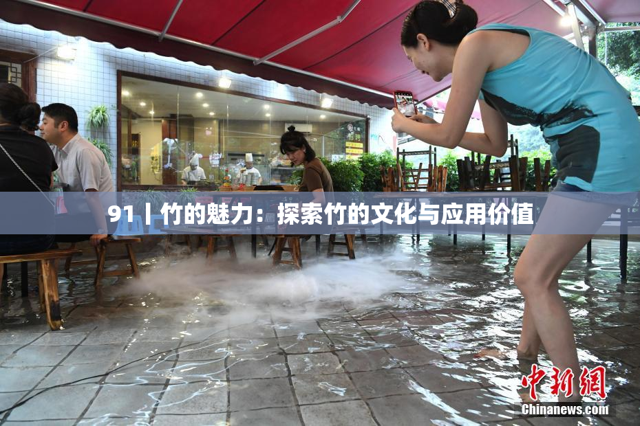 91丨竹的魅力：探索竹的文化与应用价值