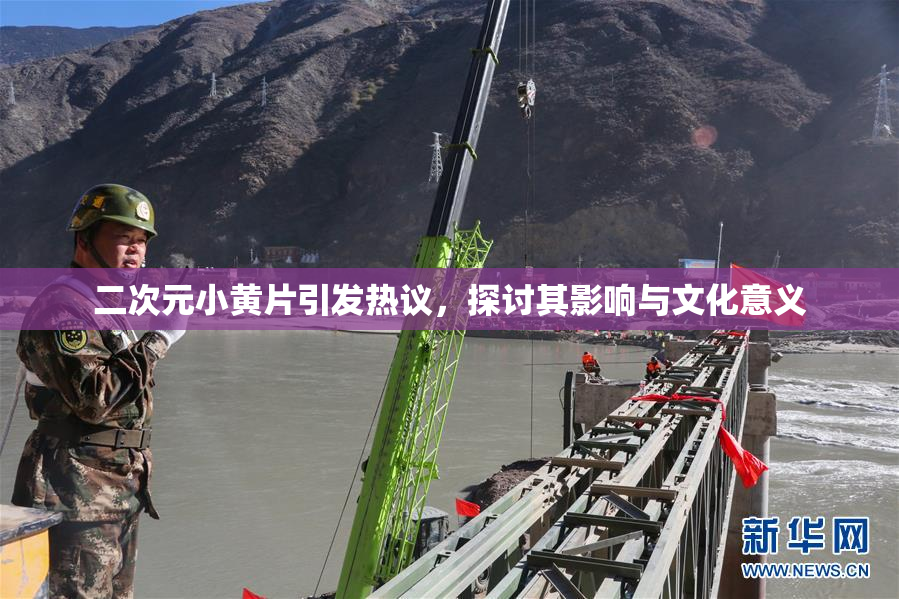 二次元小黄片引发热议，探讨其影响与文化意义
