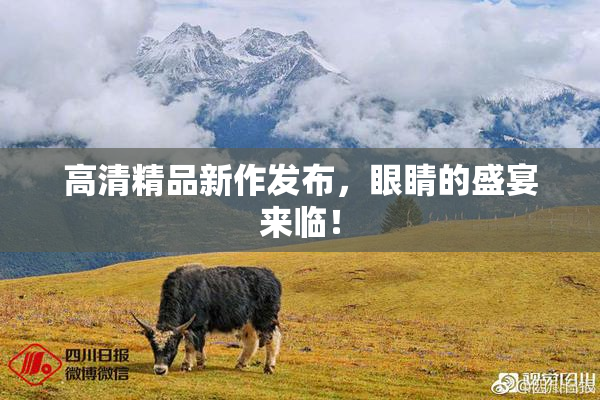 高清精品新作发布，眼睛的盛宴来临！