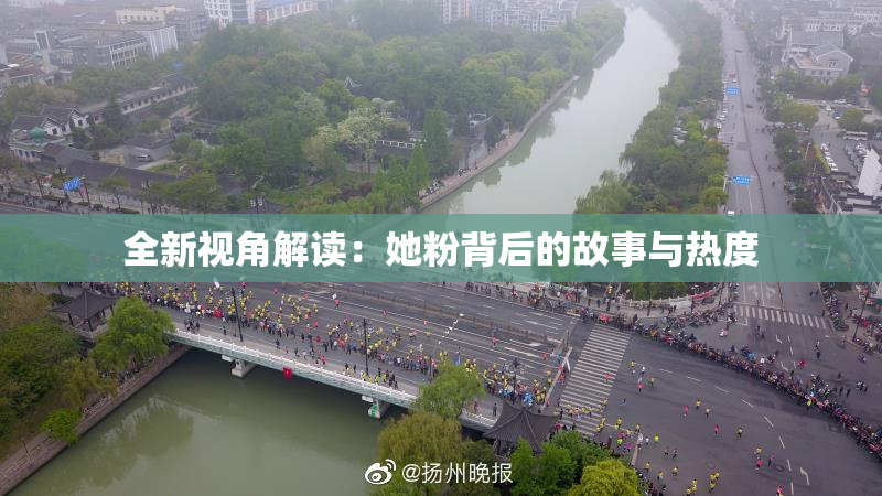 全新视角解读：她粉背后的故事与热度