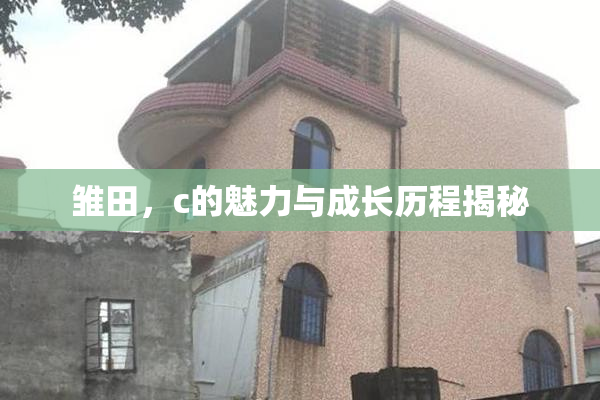 雏田，c的魅力与成长历程揭秘