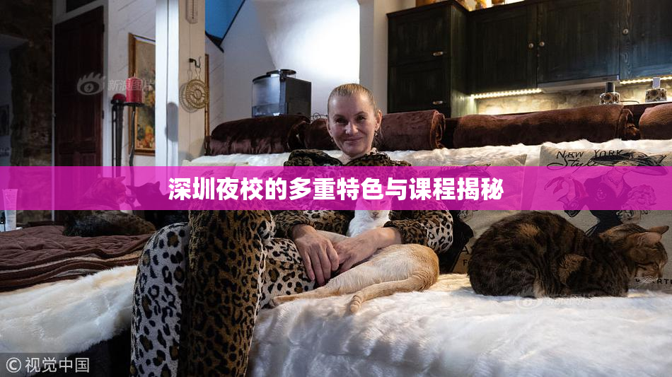 深圳夜校的多重特色与课程揭秘