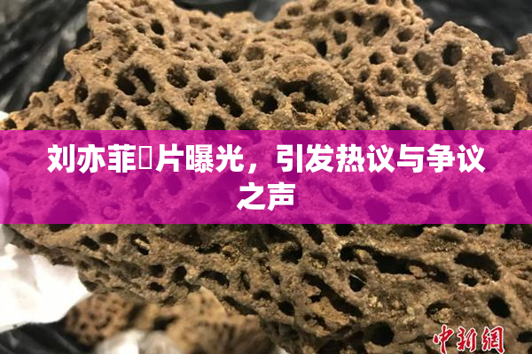 刘亦菲婬片曝光，引发热议与争议之声