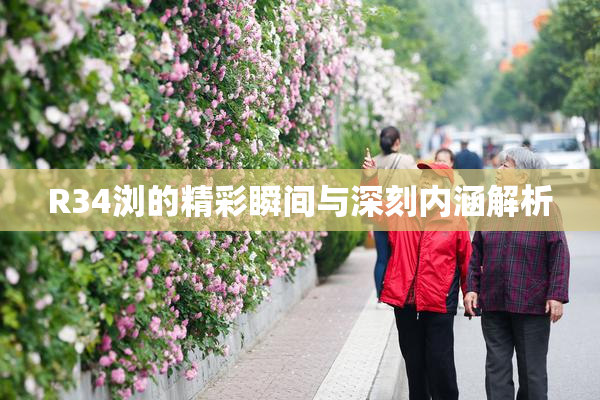R34浏的精彩瞬间与深刻内涵解析