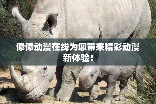 修修动漫在线为您带来精彩动漫新体验！