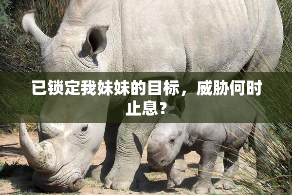 已锁定我妹妹的目标，威胁何时止息？