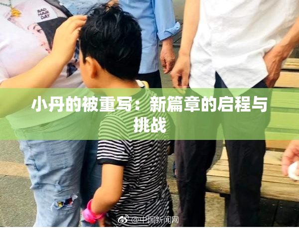 小丹的被重写：新篇章的启程与挑战