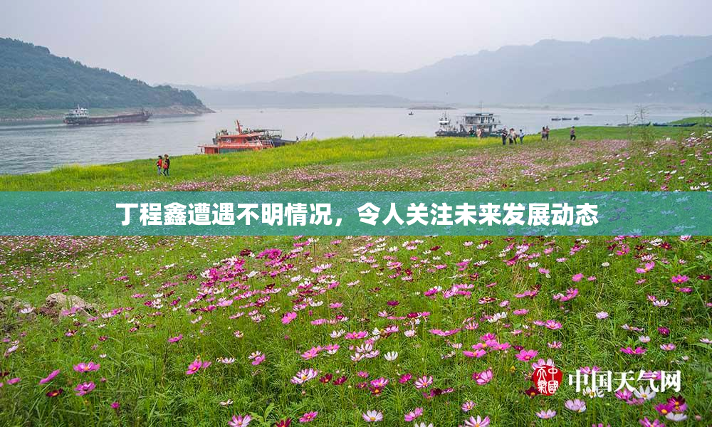 丁程鑫遭遇不明情况，令人关注未来发展动态
