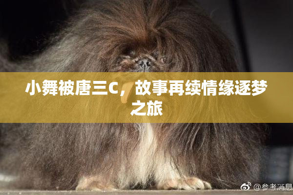 小舞被唐三C，故事再续情缘逐梦之旅