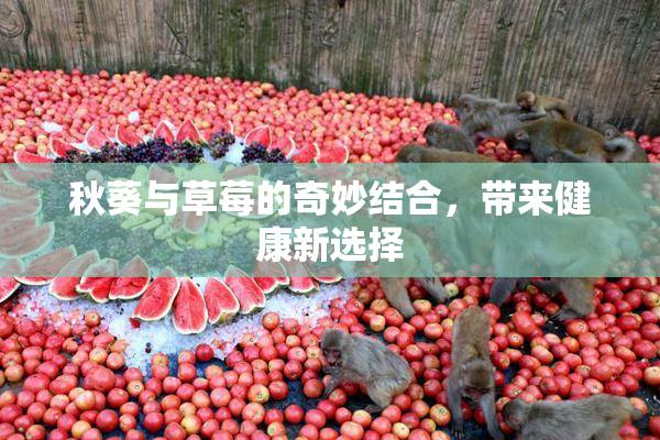 秋葵与草莓的奇妙结合，带来健康新选择