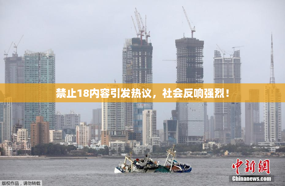 禁止18内容引发热议，社会反响强烈！