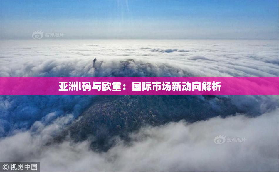 亚洲l码与欧重：国际市场新动向解析