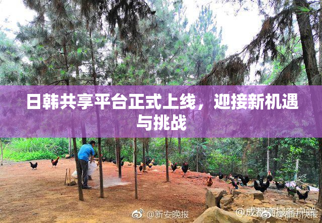 日韩共享平台正式上线，迎接新机遇与挑战
