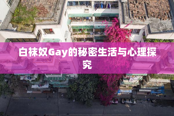 白袜奴Gay的秘密生活与心理探究