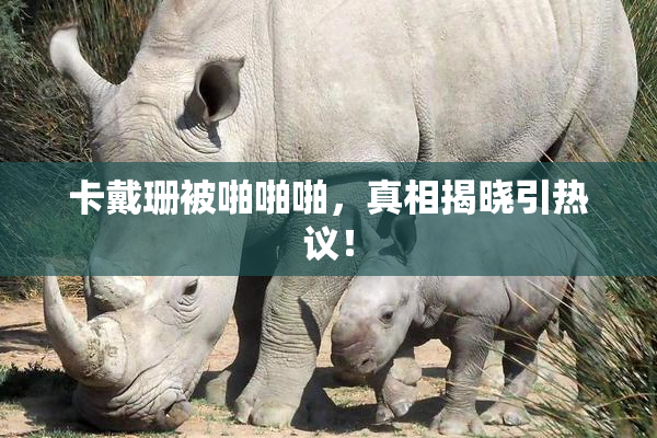 卡戴珊被啪啪啪，真相揭晓引热议！