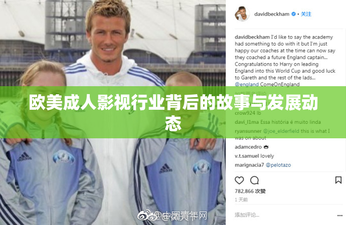 欧美成人影视行业背后的故事与发展动态
