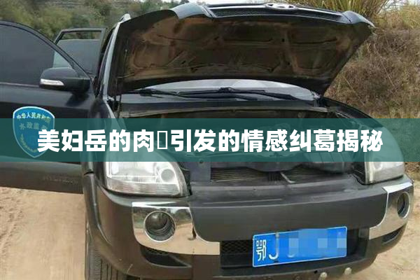 美妇岳的肉泬引发的情感纠葛揭秘