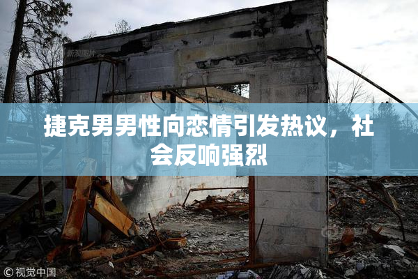 捷克男男性向恋情引发热议，社会反响强烈