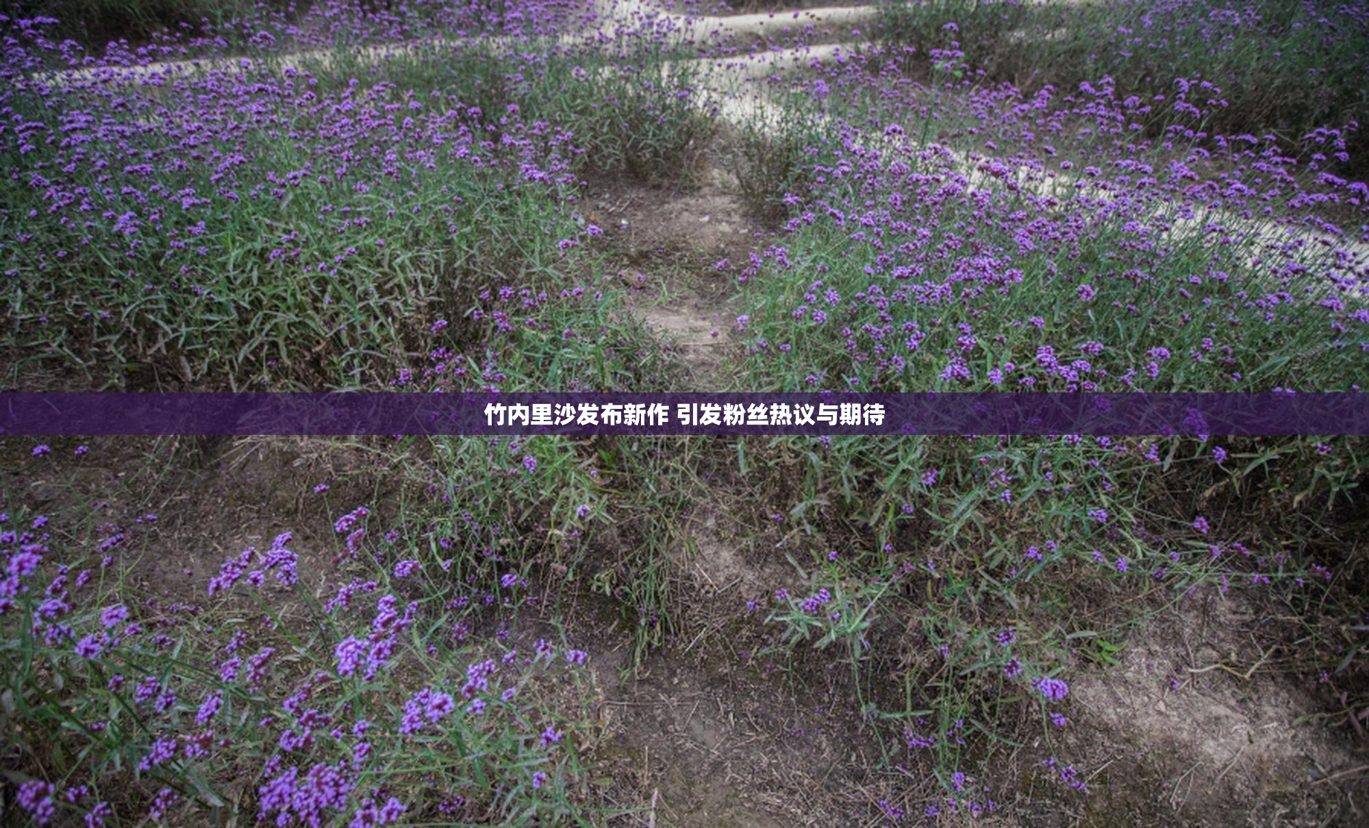 竹内里沙发布新作 引发粉丝热议与期待
