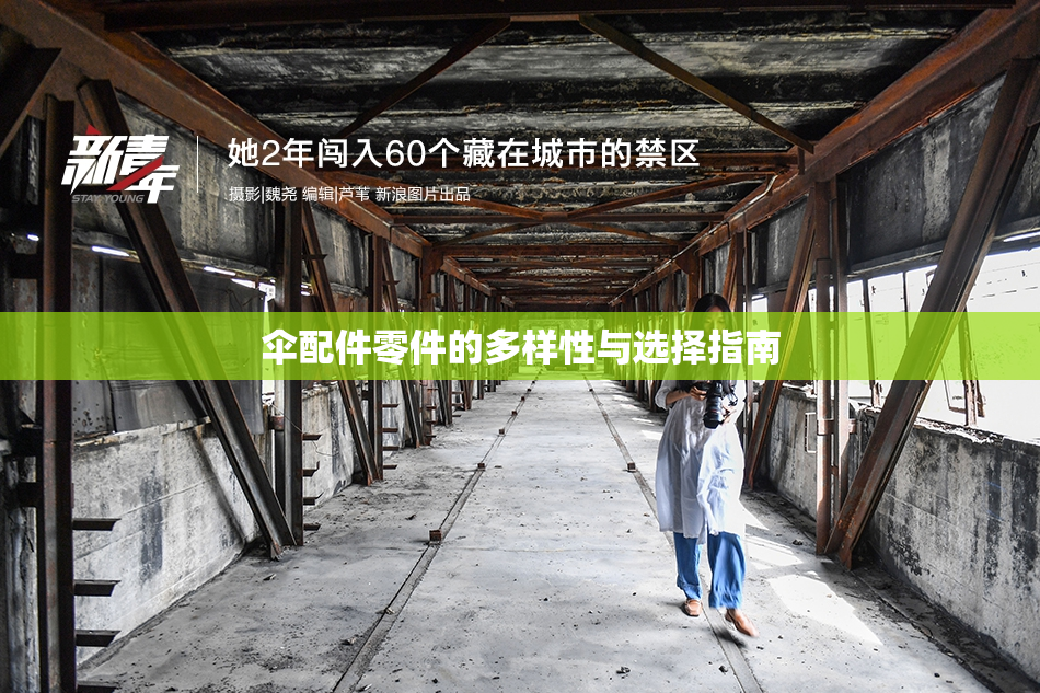 伞配件零件的多样性与选择指南