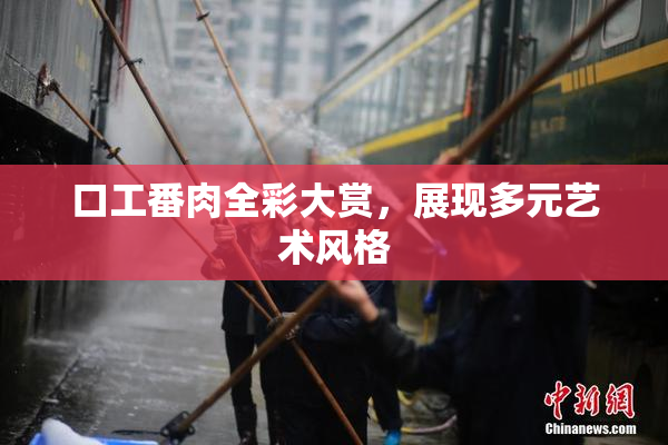 口工番肉全彩大赏，展现多元艺术风格
