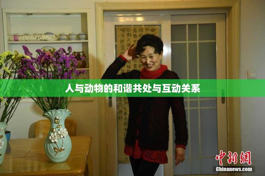 人与动物的和谐共处与互动关系