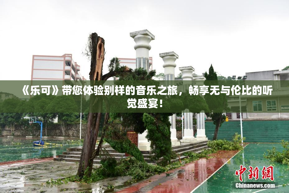 《乐可》带您体验别样的音乐之旅，畅享无与伦比的听觉盛宴！