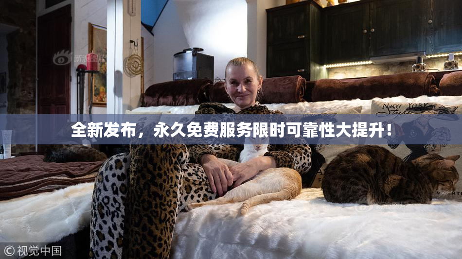 全新发布，永久免费服务限时可靠性大提升！