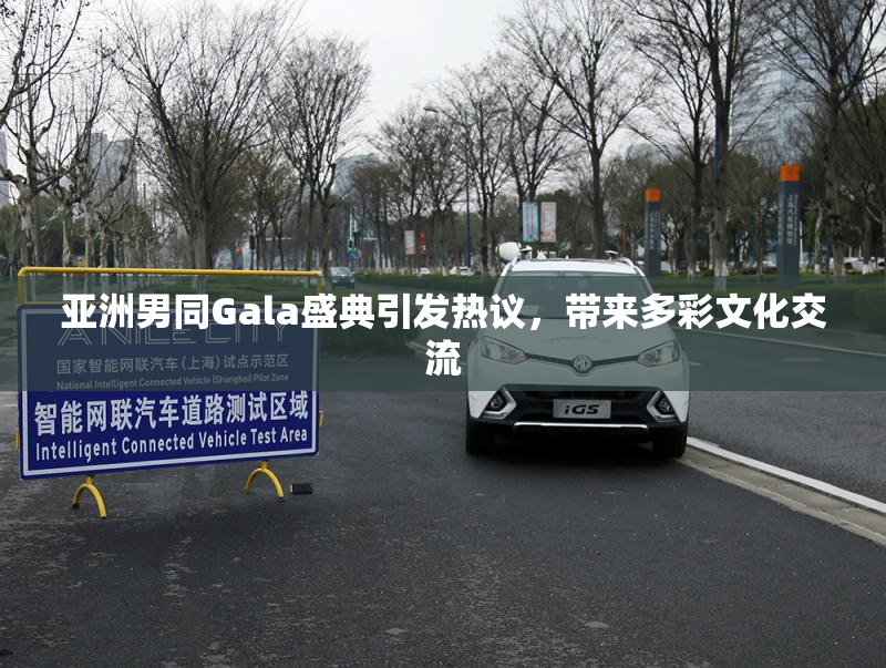 亚洲男同Gala盛典引发热议，带来多彩文化交流