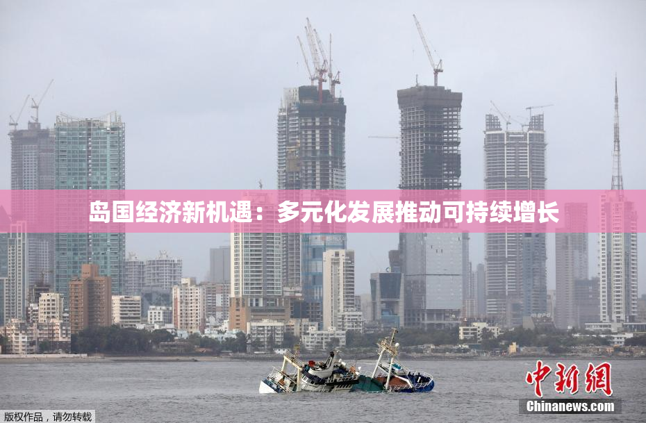 岛国经济新机遇：多元化发展推动可持续增长