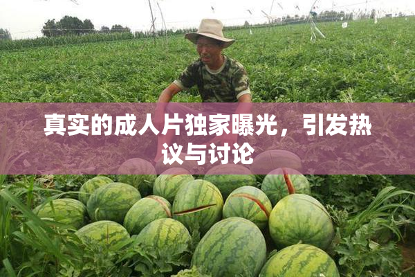 真实的成人片独家曝光，引发热议与讨论