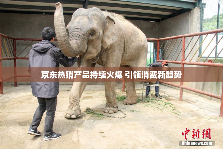 京东热销产品持续火爆 引领消费新趋势
