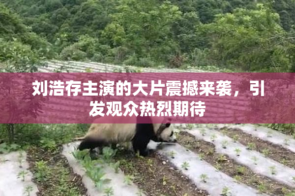 刘浩存主演的大片震撼来袭，引发观众热烈期待