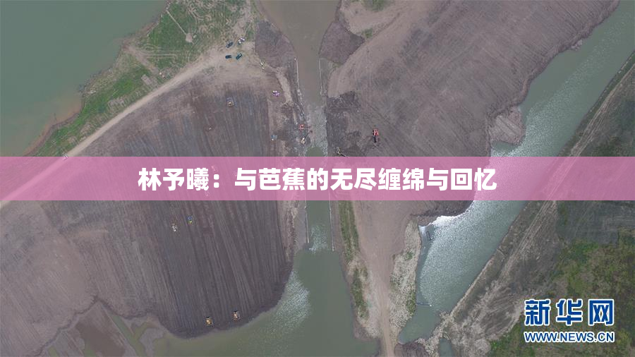 林予曦：与芭蕉的无尽缠绵与回忆