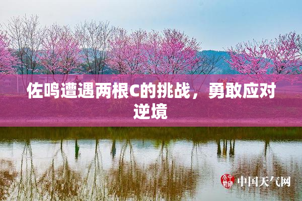 佐鸣遭遇两根C的挑战，勇敢应对逆境