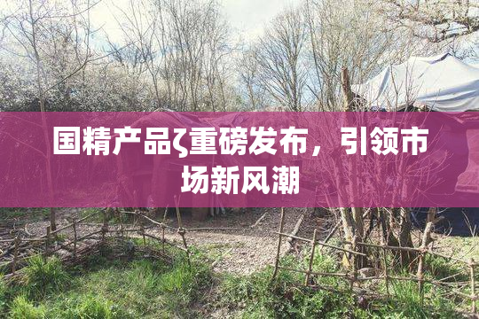国精产品ζ重磅发布，引领市场新风潮
