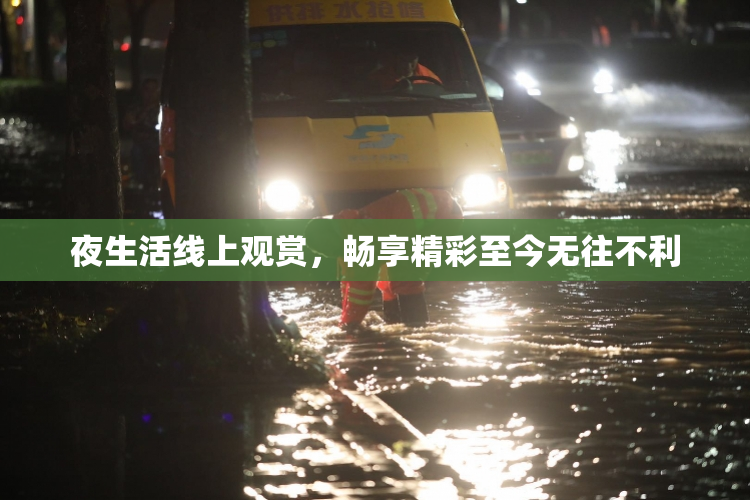 夜生活线上观赏，畅享精彩至今无往不利