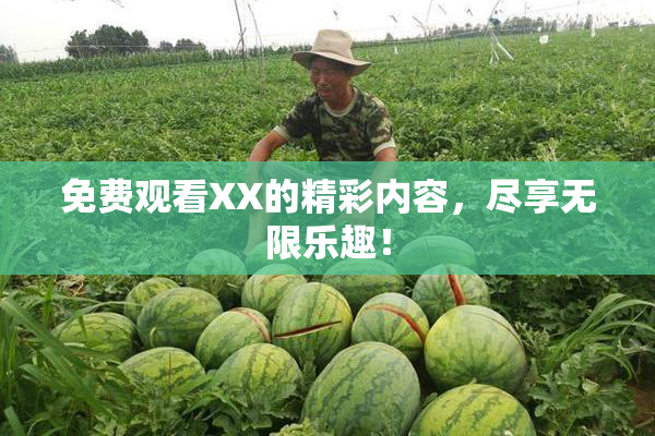 免费观看XX的精彩内容，尽享无限乐趣！