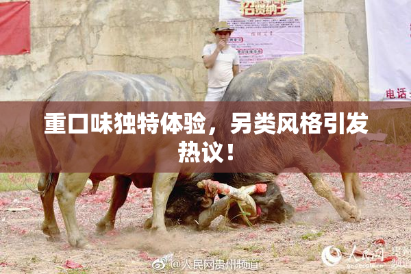 重口味独特体验，另类风格引发热议！