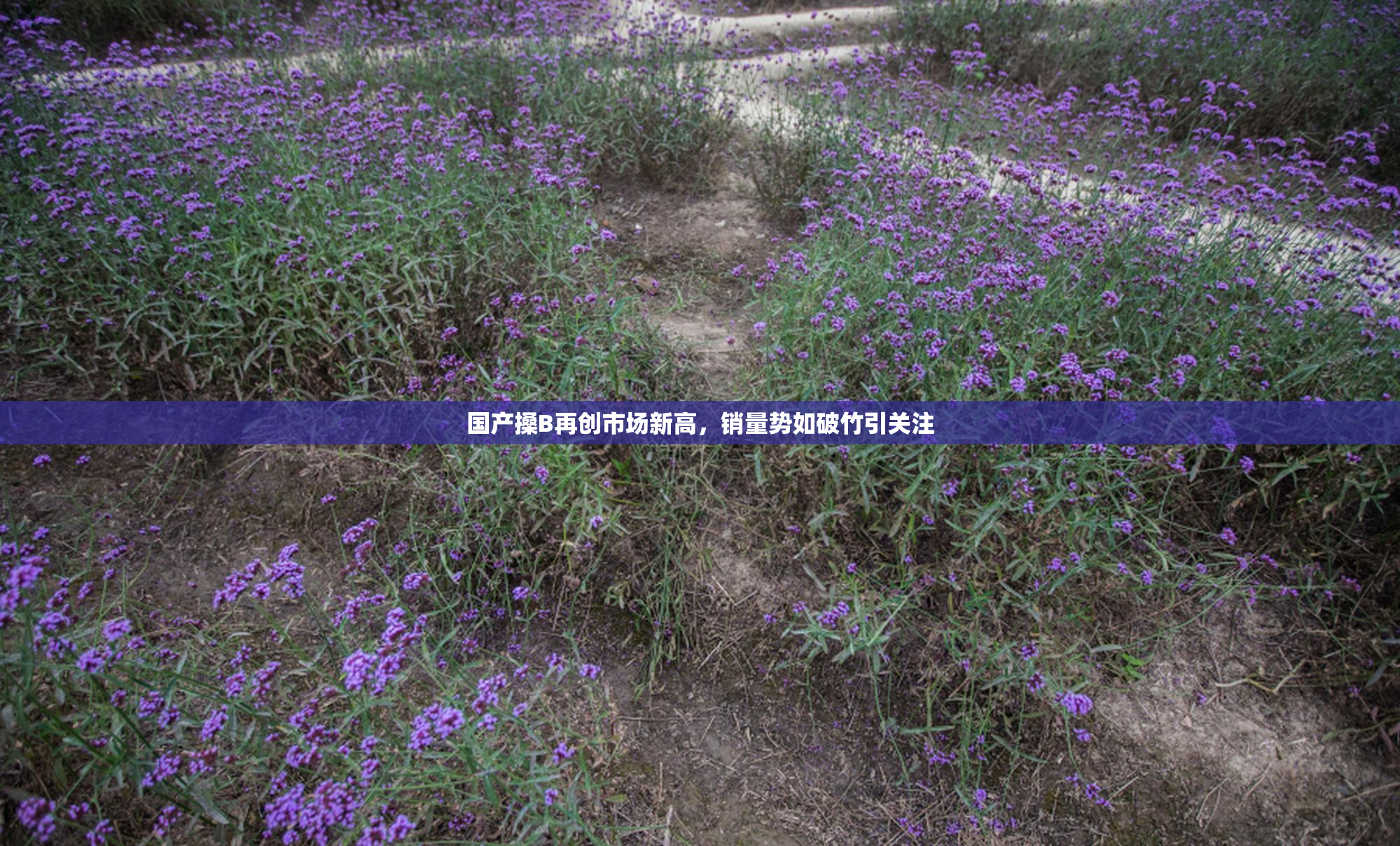 国产搡B再创市场新高，销量势如破竹引关注