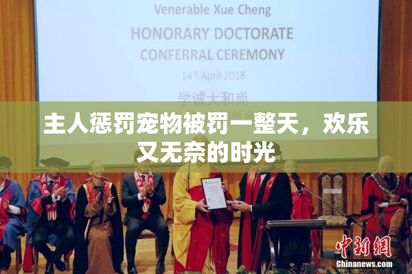 主人惩罚宠物被罚一整天，欢乐又无奈的时光