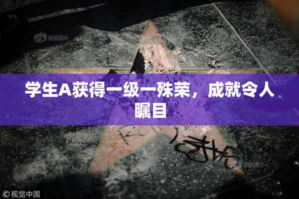 学生A获得一级一殊荣，成就令人瞩目