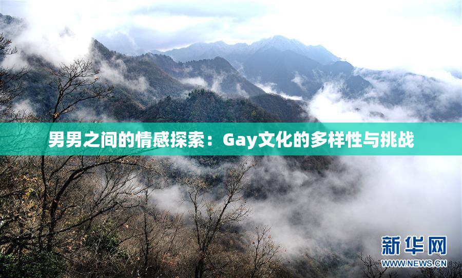 男男之间的情感探索：Gay文化的多样性与挑战