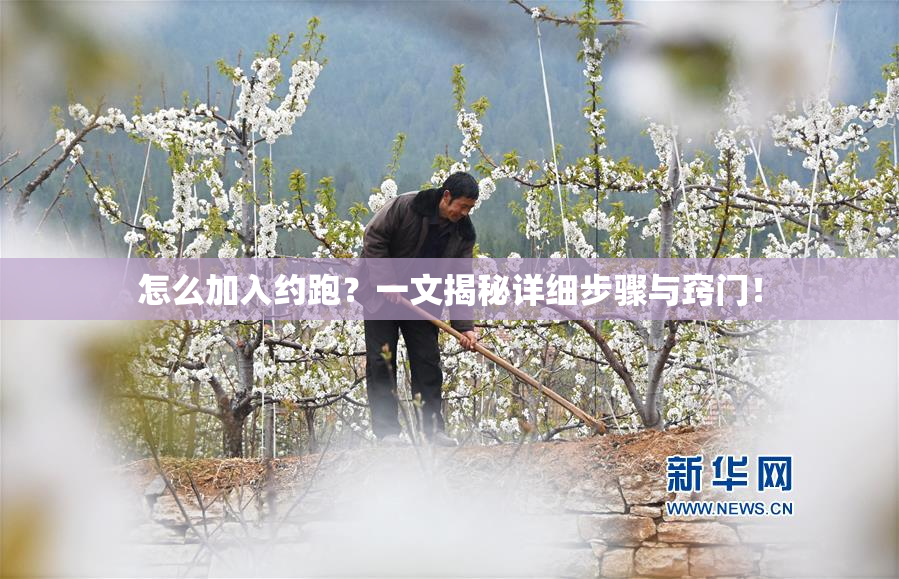 怎么加入约跑？一文揭秘详细步骤与窍门！