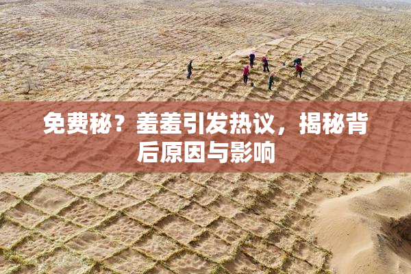 免费秘？羞羞引发热议，揭秘背后原因与影响